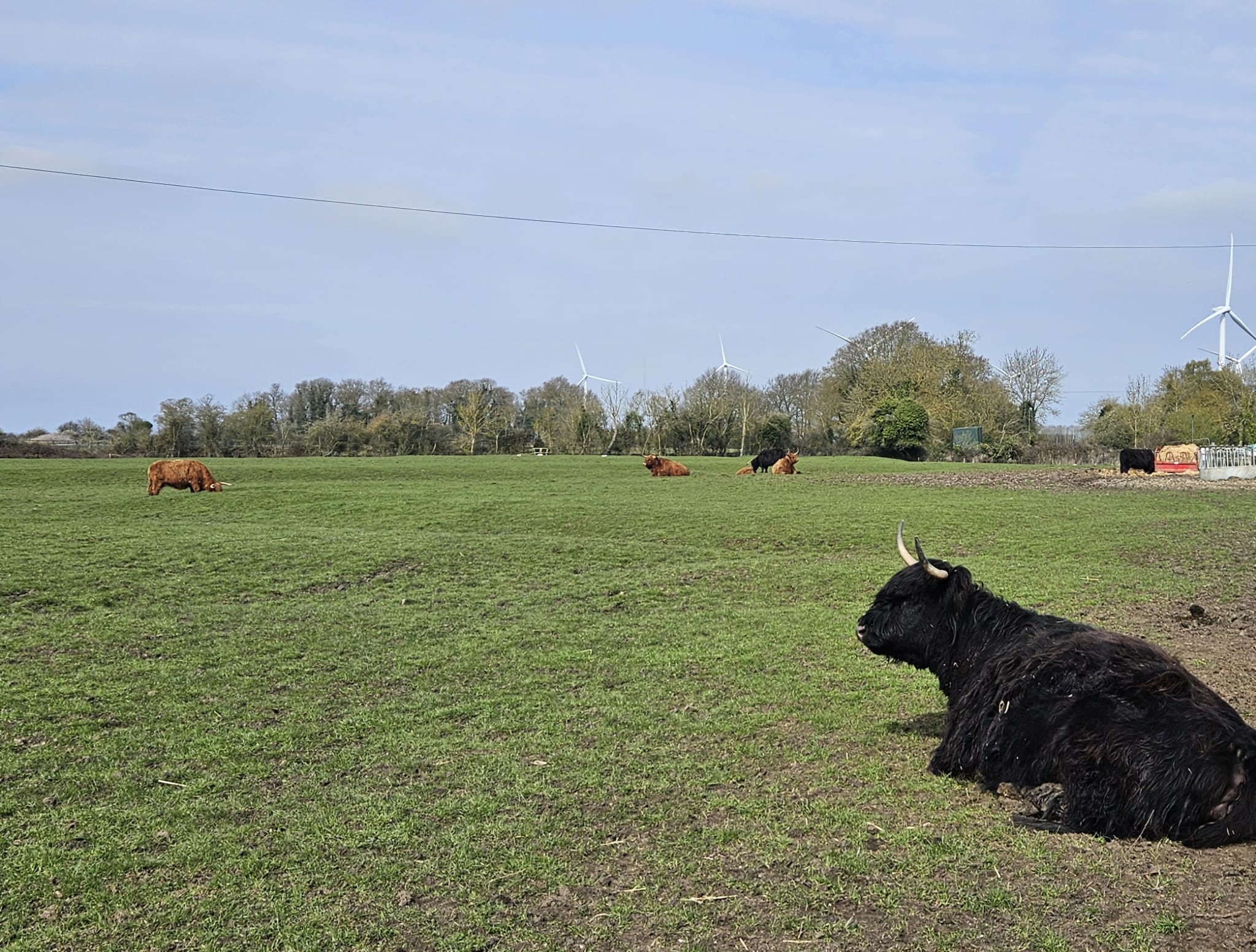 Roads and village approach in Great Paxton Ward